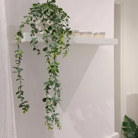 Design House Biennale